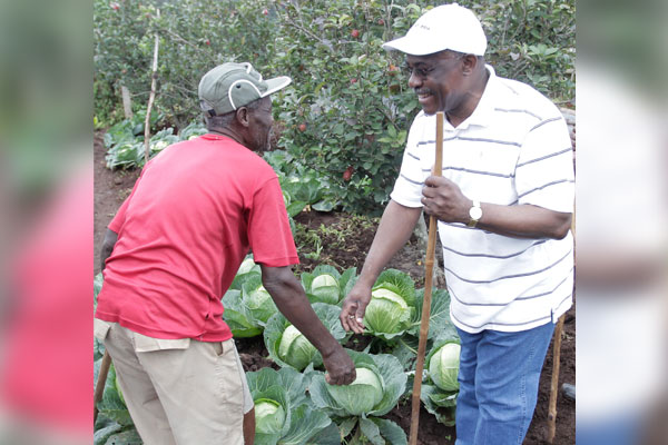 Dr Nwanze and a farmer in the field