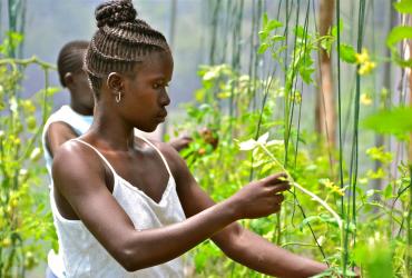 Young woman in greenhouse farm, Kenya