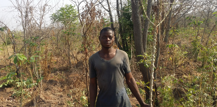 Young male Kwara farmer on farm