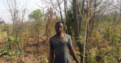 Young Kwara farmer on farm