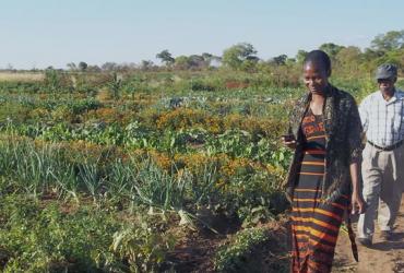 woman-in-farm-organic bio