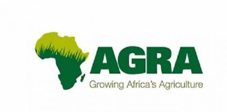 Alliance for a Green Revolution in Africa