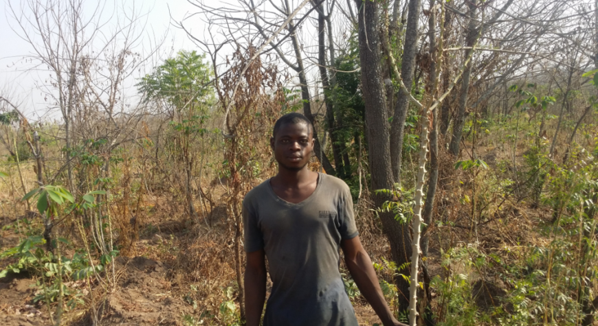 Young Kwara farmer on farm