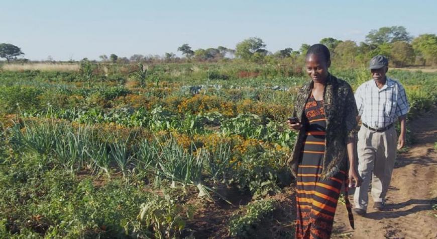 woman-in-farm-organic bio